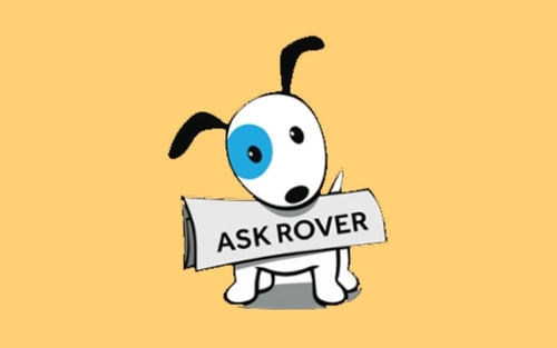 Rover